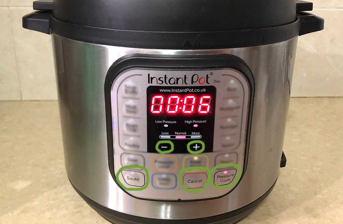 Instant Pot IP-DUO60 - Pressure Cooker Review 2022