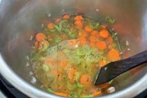 Instant Pot Italian Wedding Soup - Corrie Cooks