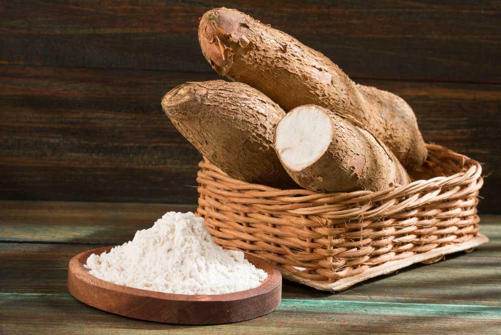 5 Best Arrowroot Flour Substitutes - Corrie Cooks