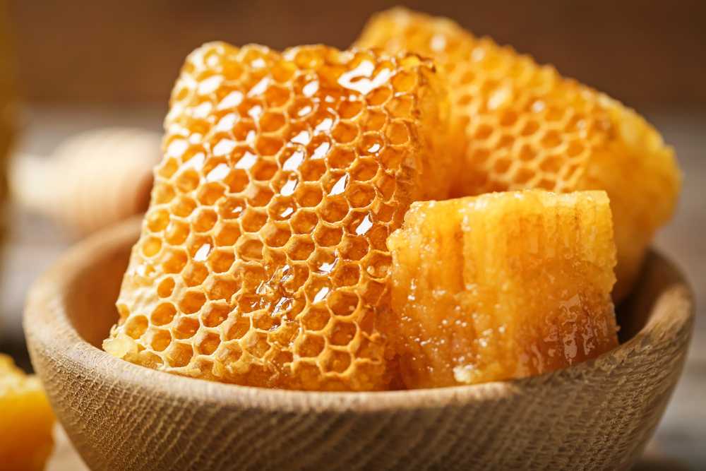 Premium Vector  Honey bee sitting on honeycomb cartoon honey comb with  sweet melting honey honeycraft and beekeeping flat vector illustration