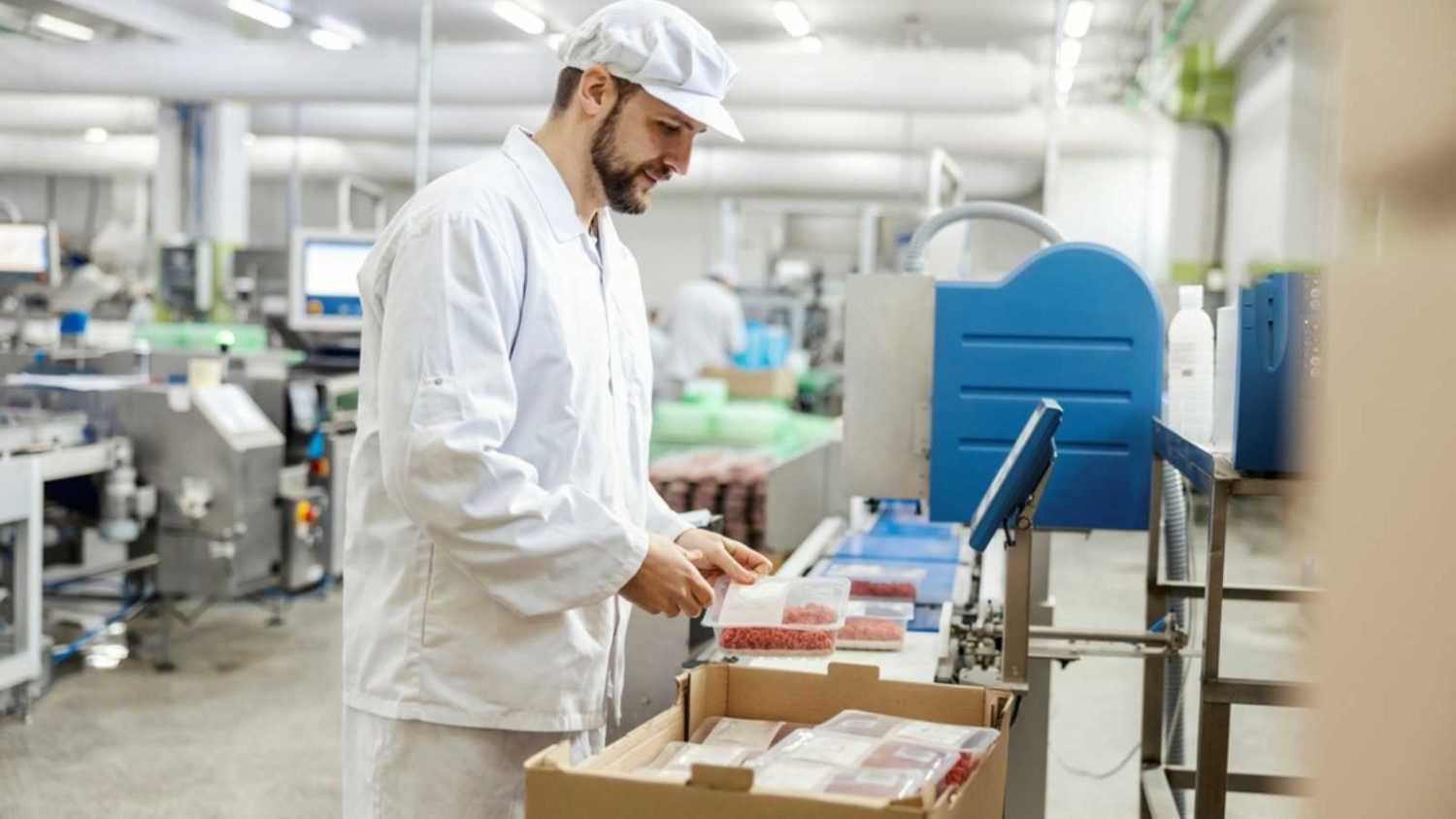 A meat industry laborer is packing minced meat into a box and getting ready to deliver it while standing next to a conveyor belt.
