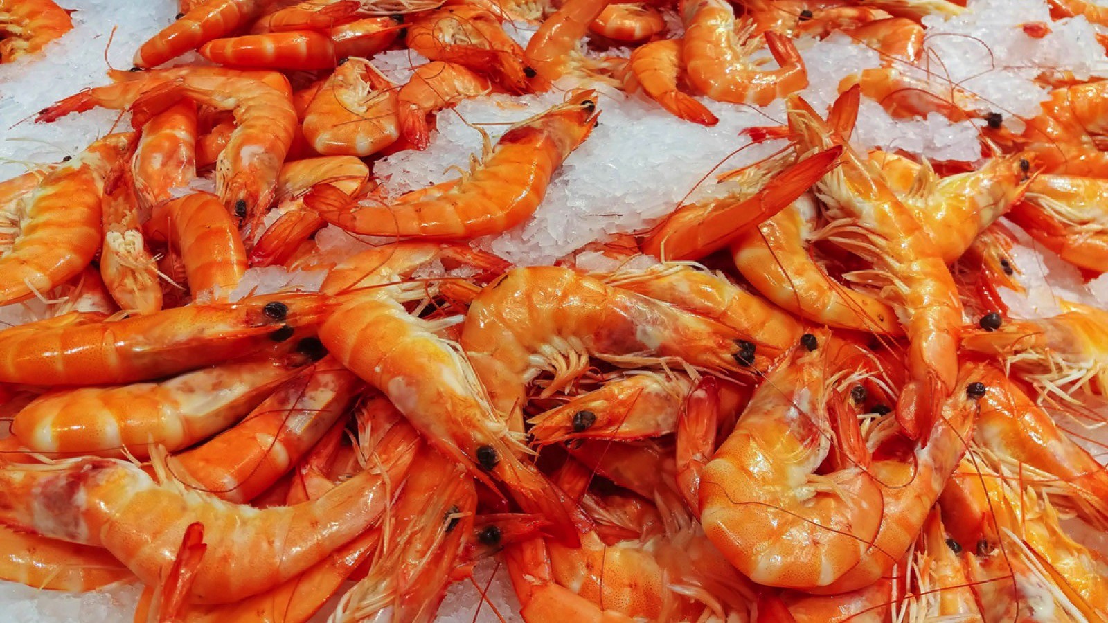 Fresh Prawns