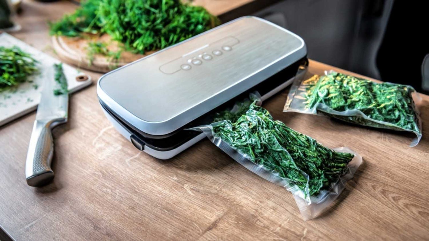 Vacuum Sealer