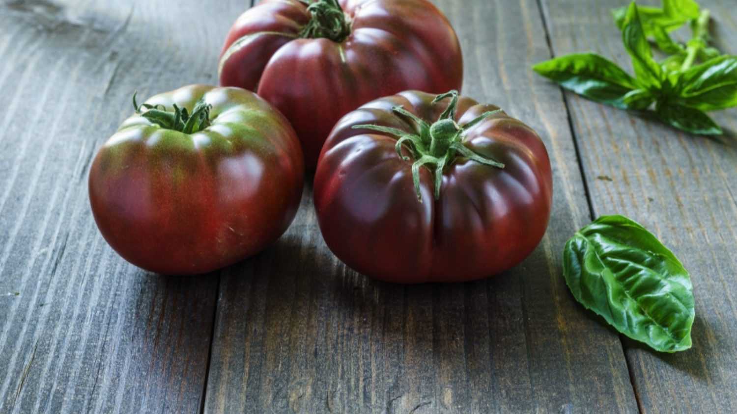 Brandywine tomato