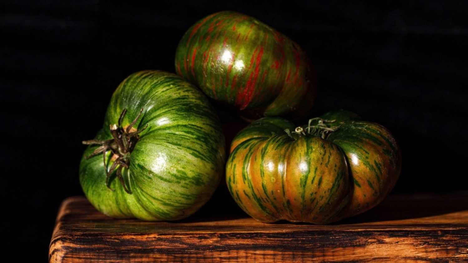 Chocolate Stripes tomato