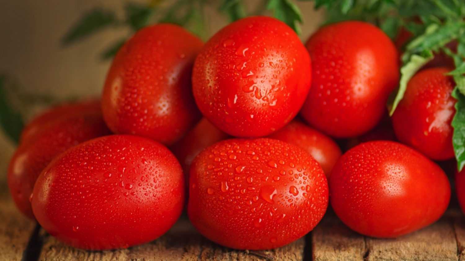 Roma tomatoes