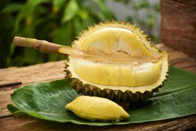 Durian