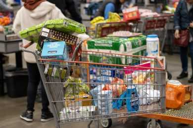 shopping cart grocery costco